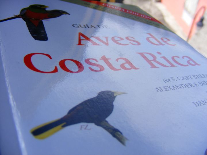 biblioteca 047 copy.jpg